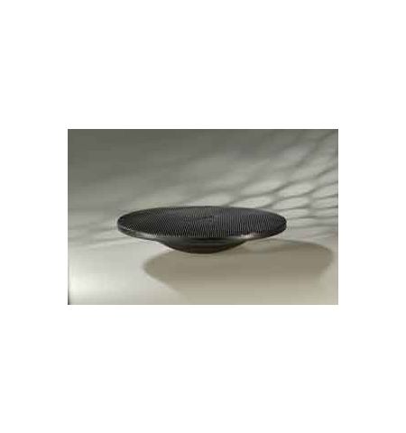 Assiette Wobble Board thera band